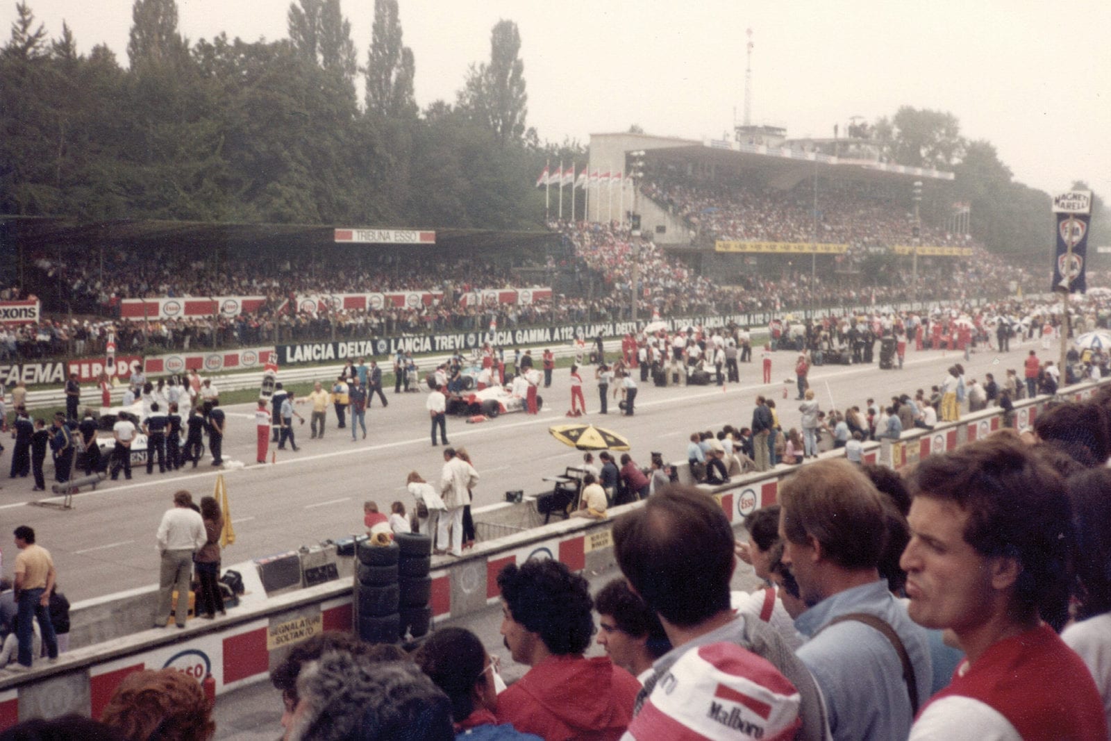 A pre-race view of the 1981 Italian Grand Prix grid from the grandstands