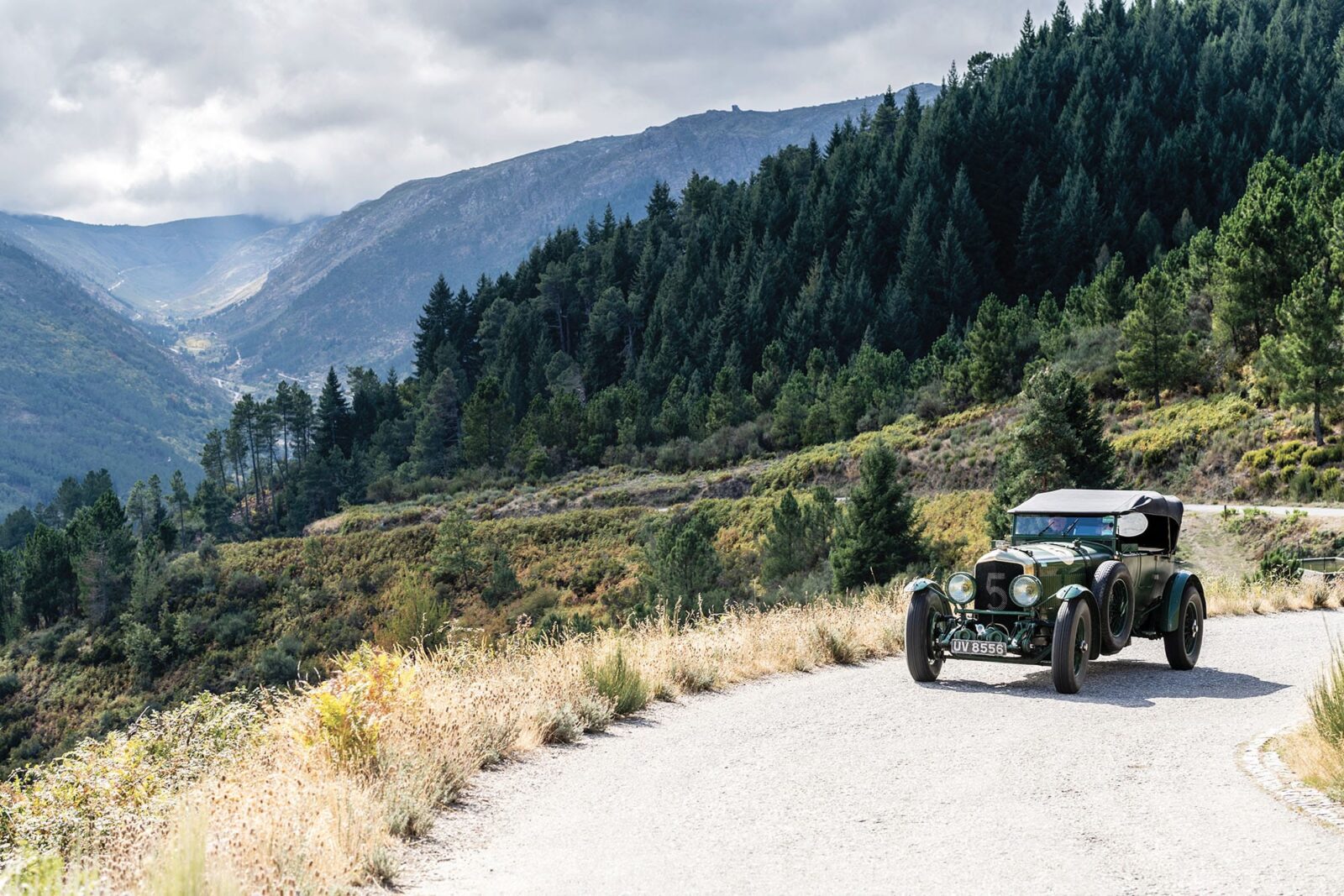 Rally the Globe Bentley mountains