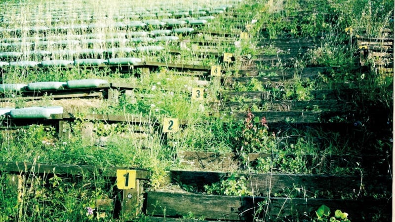 Overgrown crowd terraces at Imola