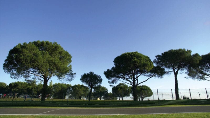 Trees at the Imola circuit