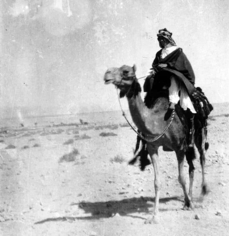 Lawrence Of Arabia