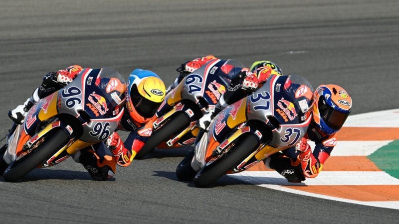 Pedro Acosta, Red Bull Rookies Cup