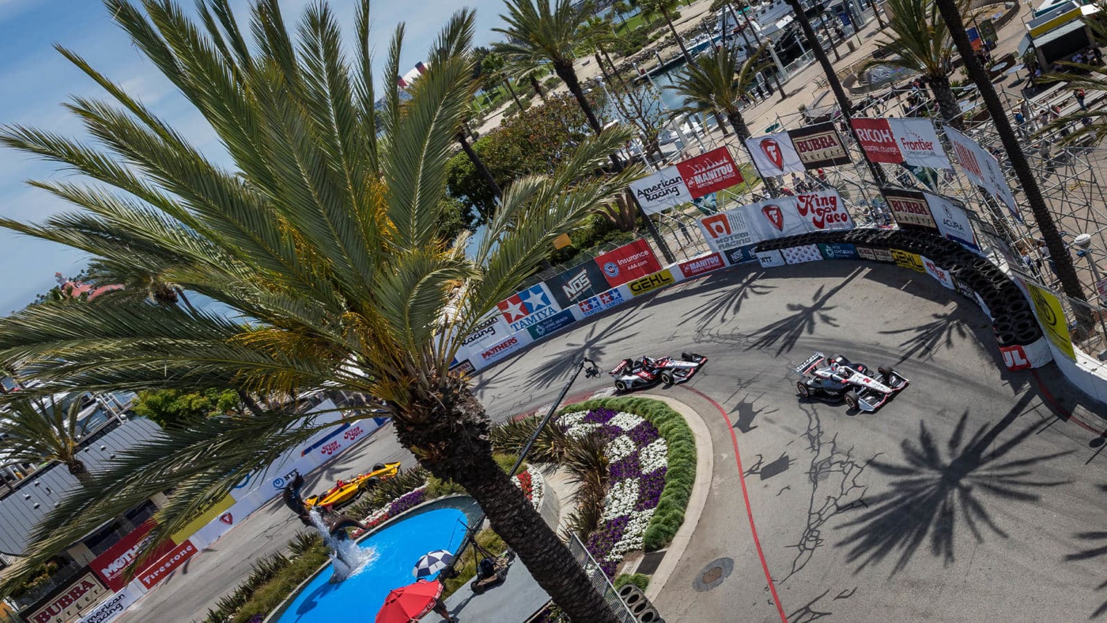 Palm tree and cars in 2019 Long Beach GP