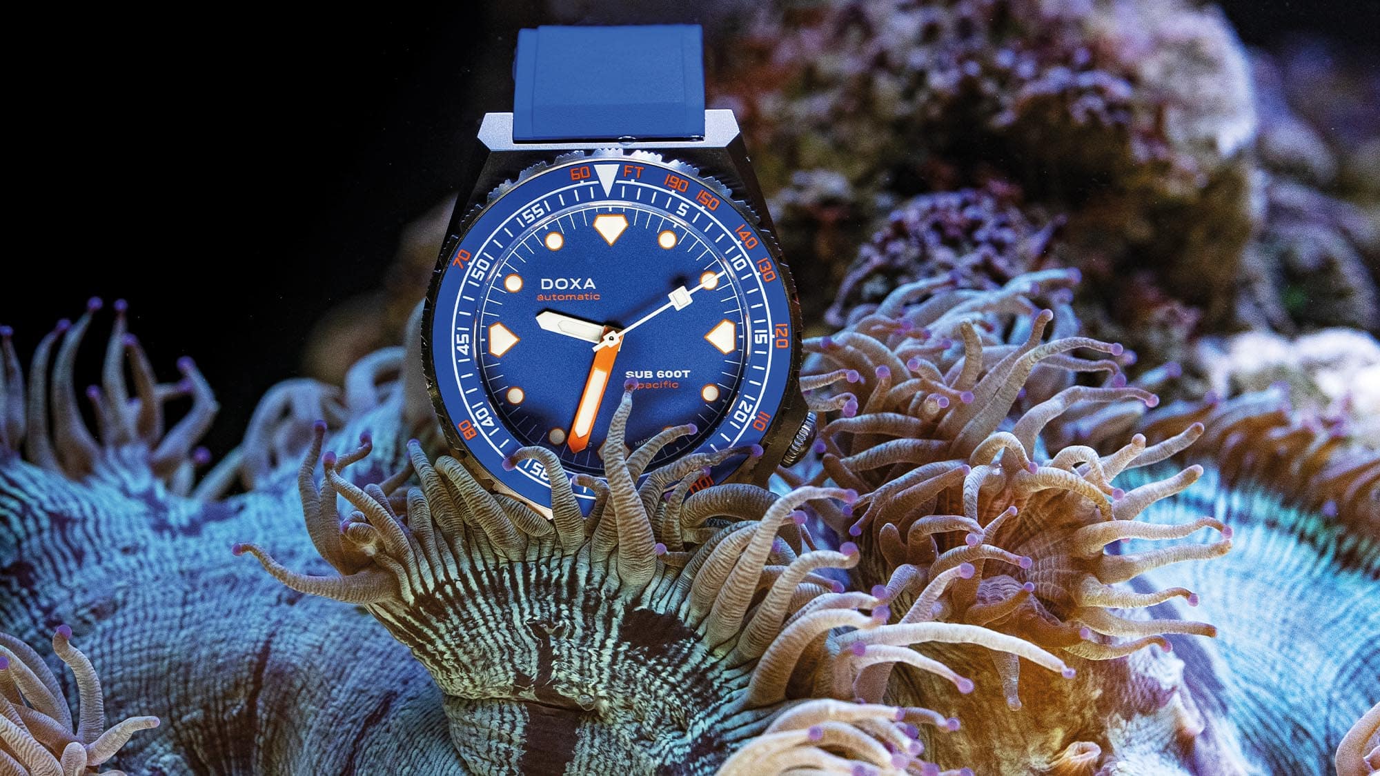 Doxa watch underwater