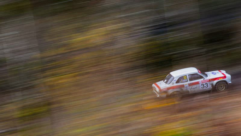 Ford Escort speeding through trees at Roger Albert Clark Rally