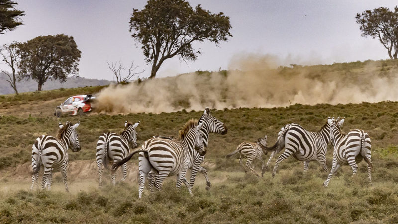 Safari Rally Kenya