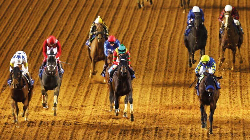 Horse racing in Saudi Arabia