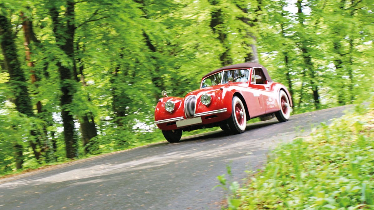 Classic Jaguar drivers through the woods