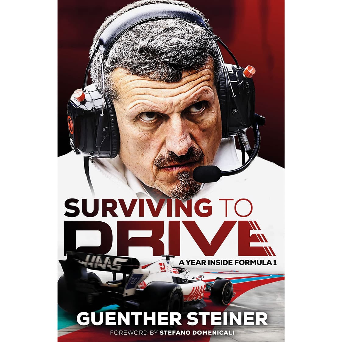 Surviving to drive book