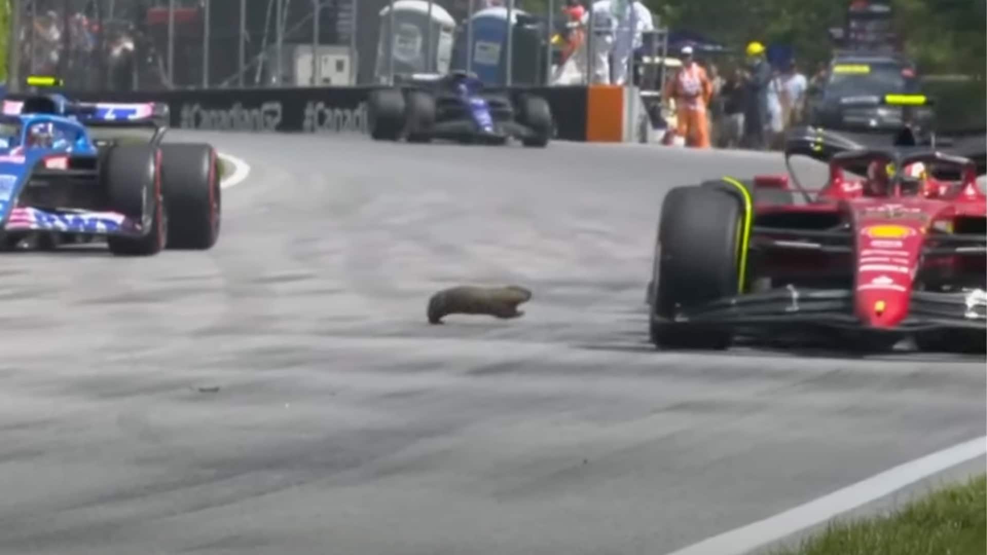 2022 Canadian Grand Prix Sainz Alonso Williams