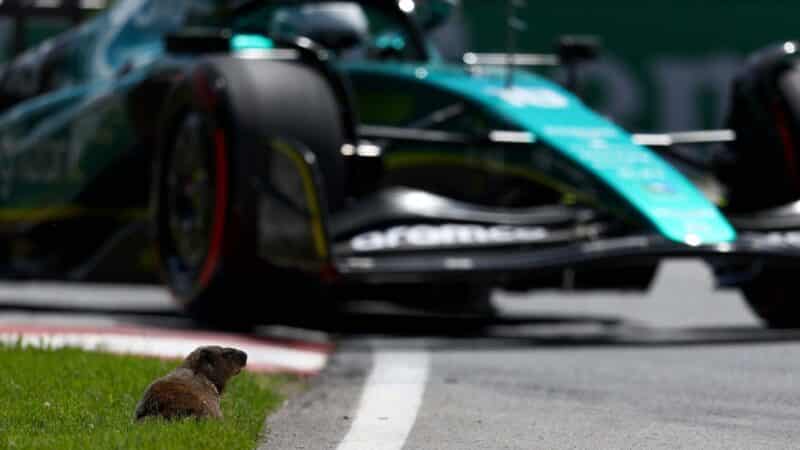 Aston Martin of Lance Stroll approaches groundhog at the 2022 Canadian GP