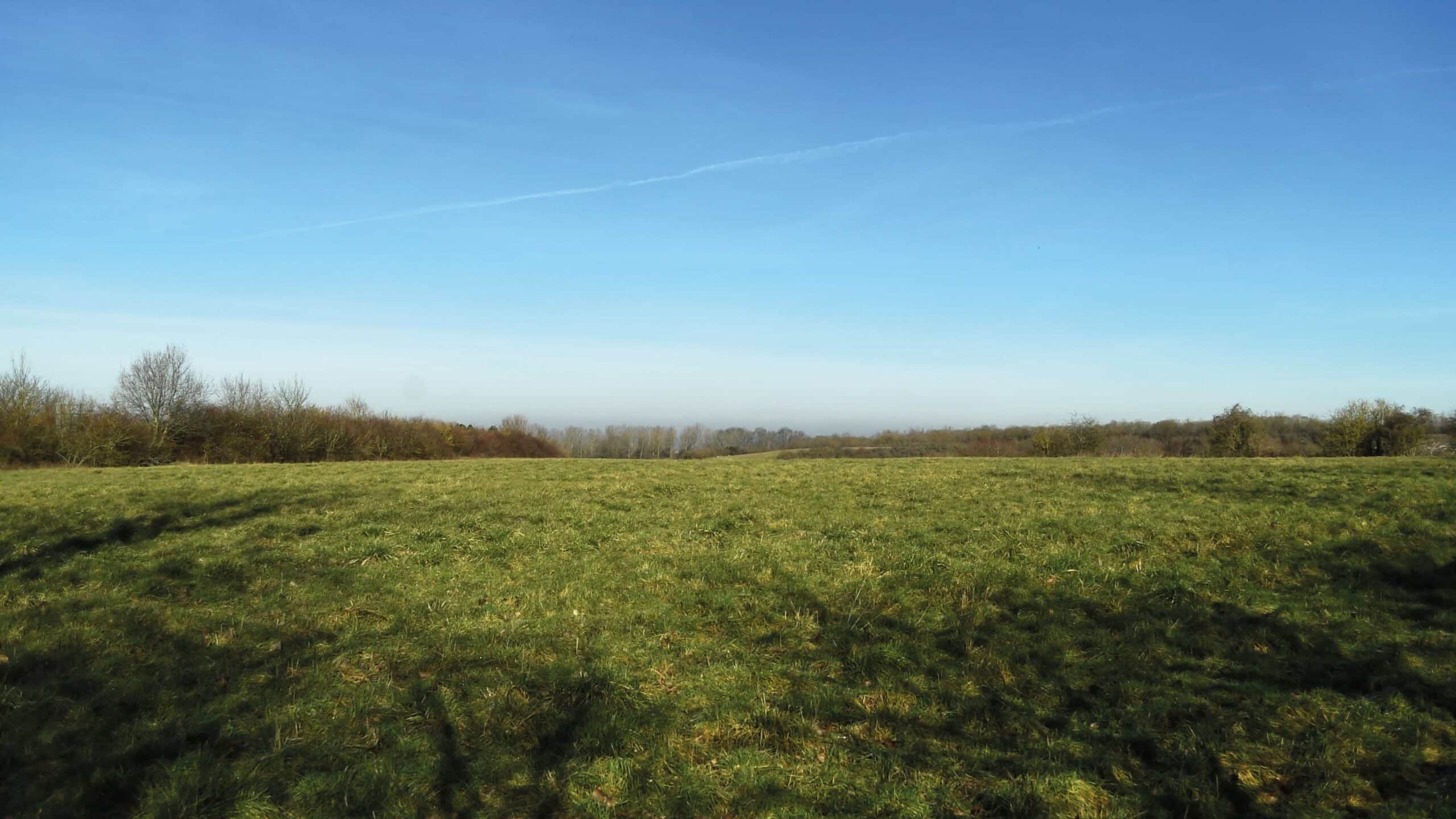Clear sky at the meadow