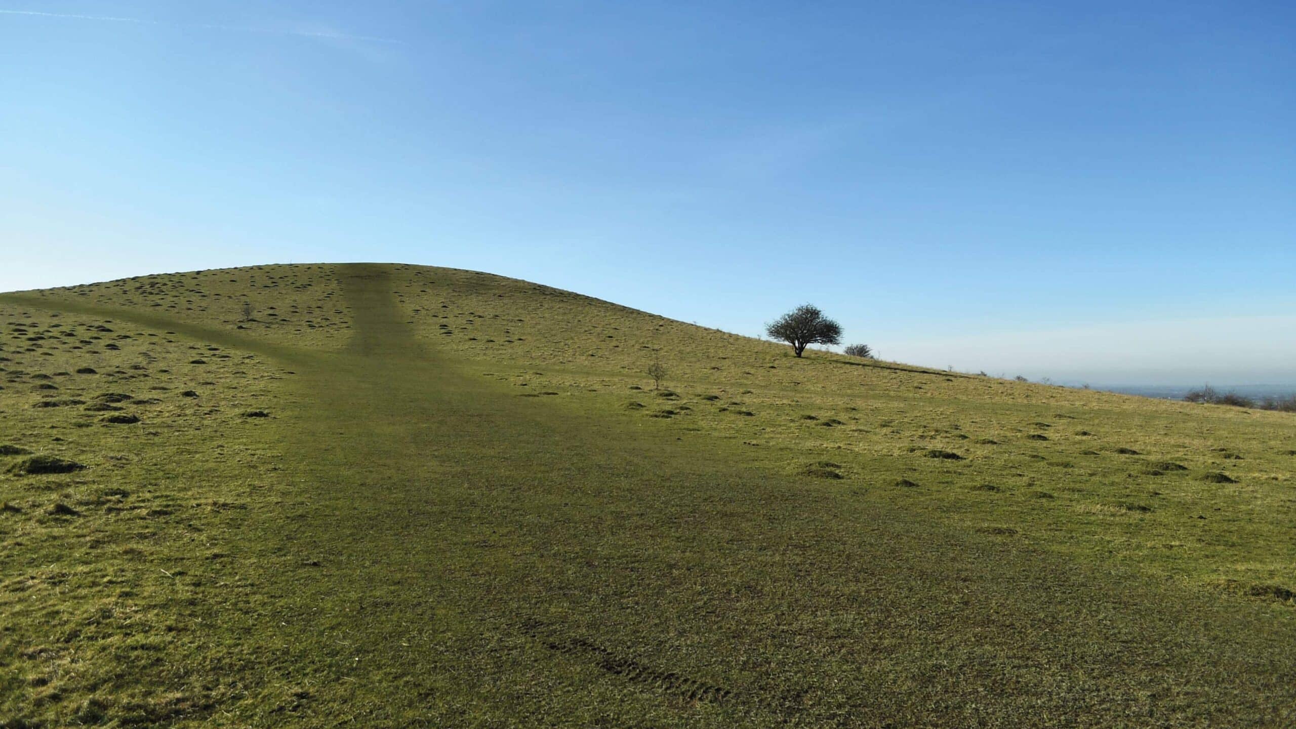 The natural site for the circuit