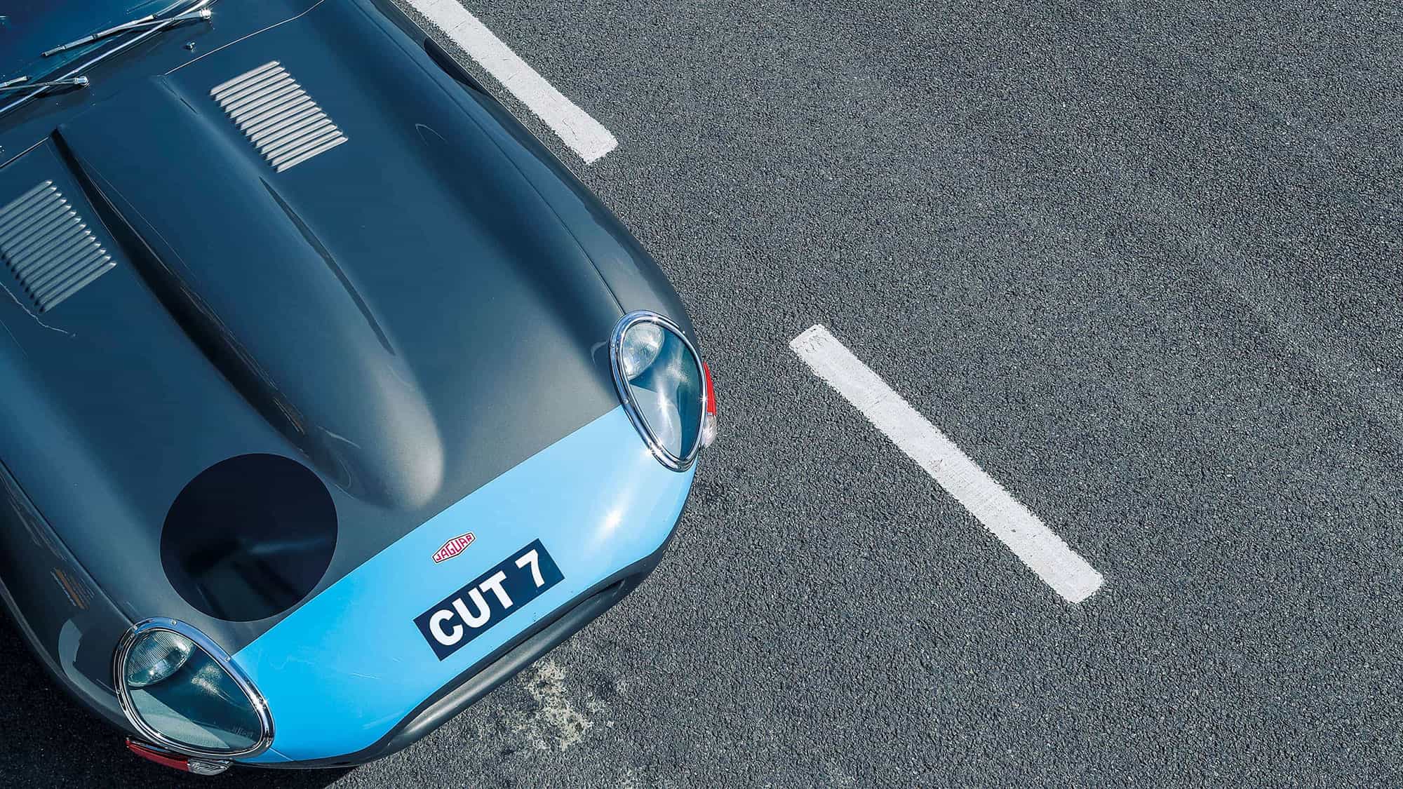 Jaguar-Cut-7
