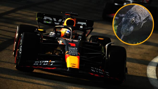 Lizards of Singapore: Could ‘Godzilla’s kid’ derail Red Bull?