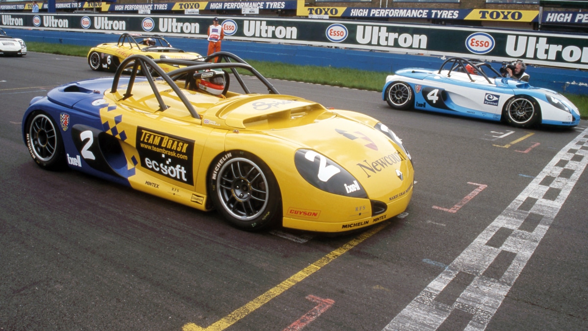 Sport Spiders