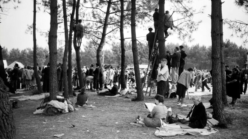 Tree-climbing spectating Le Mans 1952